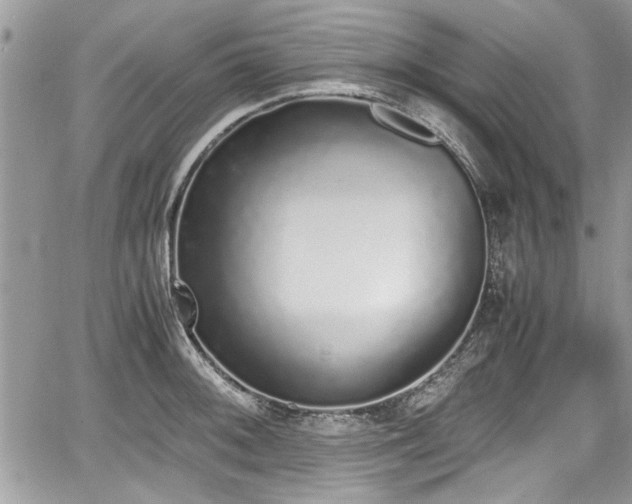 X0000067951092200604171429