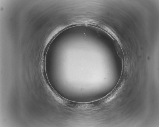 X0000067951093200604171429