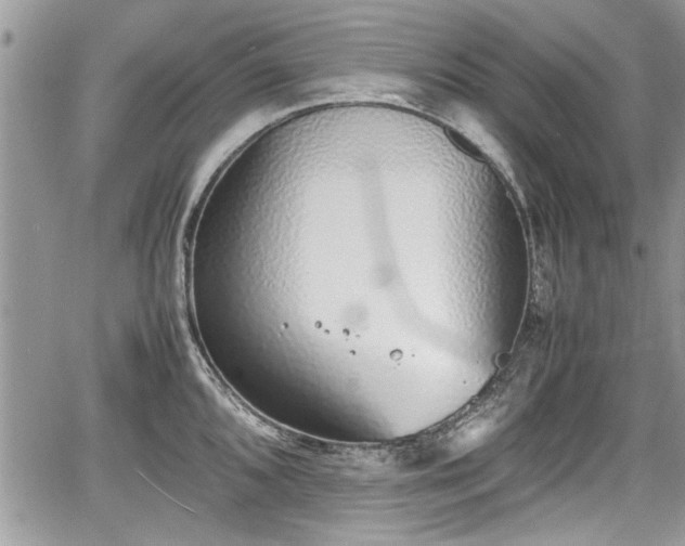 X0000067951096200604171429