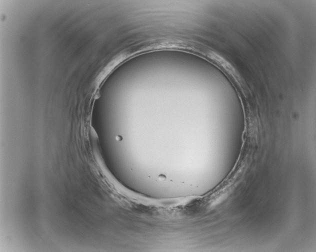 X0000067951097200604171429