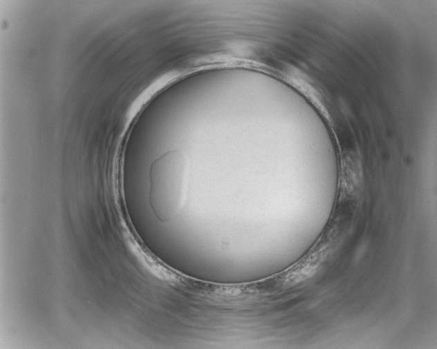 X0000067951098200604171429