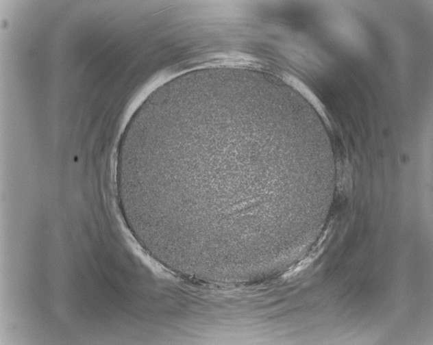 X0000067951099200604171429