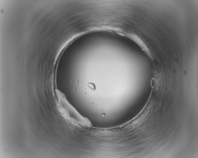 X0000067951100200604171429