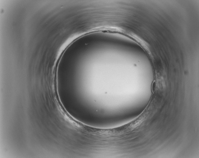 X0000067951102200604171429