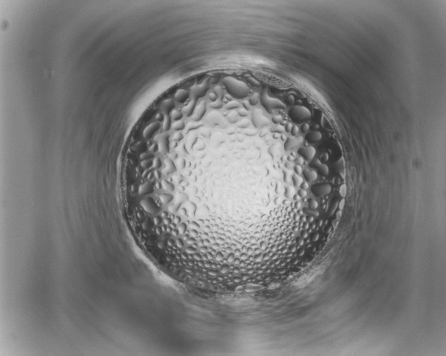 X0000067951103200604171429