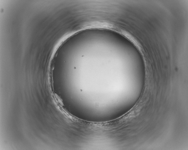 X0000067951104200604171429