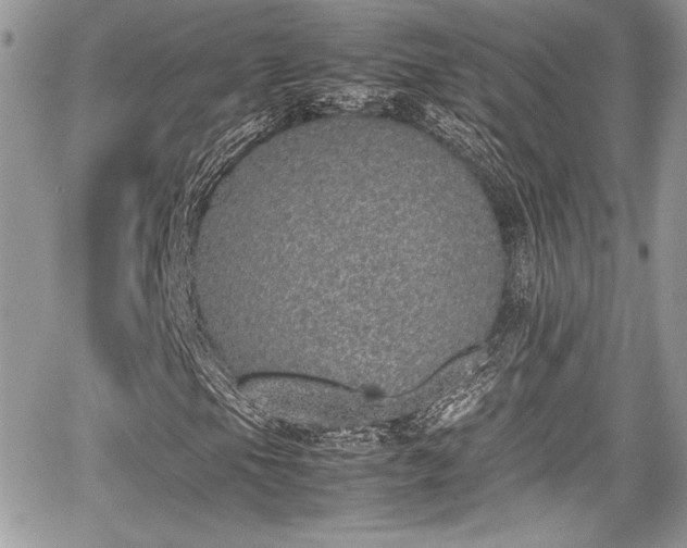 X0000067951105200604171428