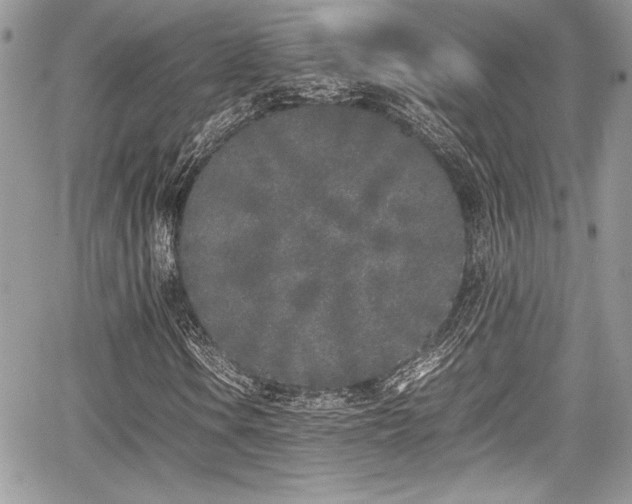 X0000067951106200604171428