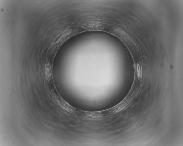 X0000067951107200604171428