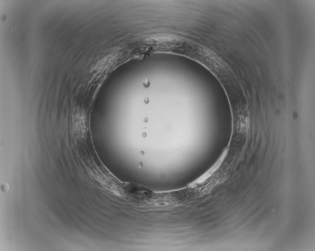 X0000067951108200604171428