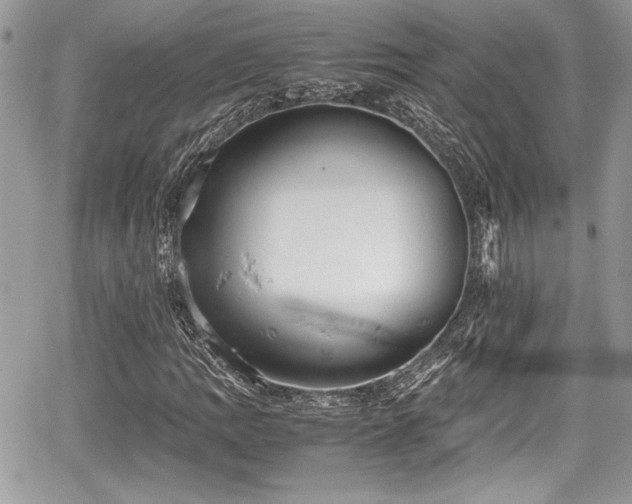 X0000067951109200604171428