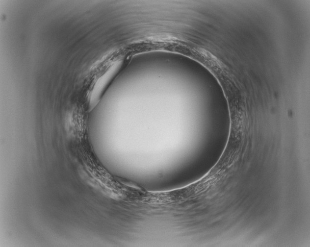 X0000067951110200604171428