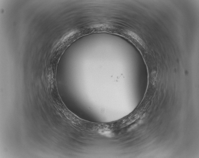 X0000067951111200604171428