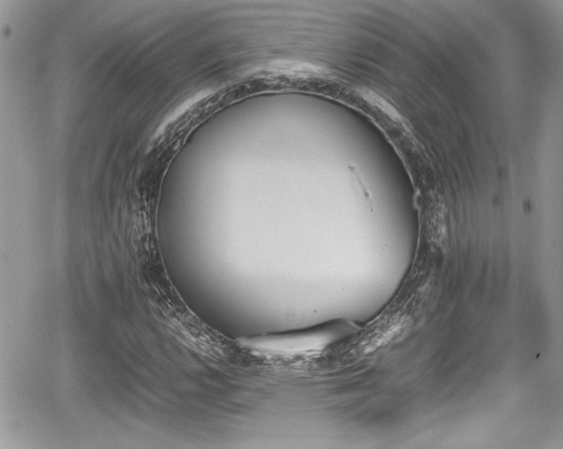 X0000067951112200604171428