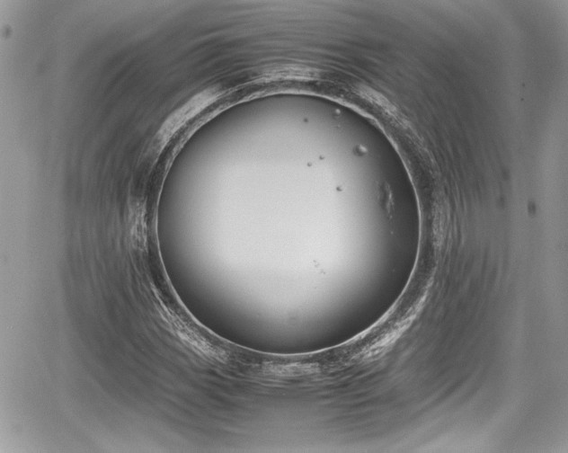 X0000067951113200604171428