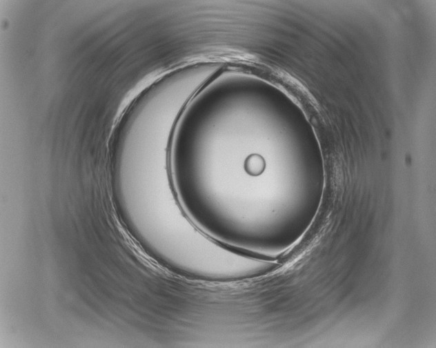 X0000067951114200604171428