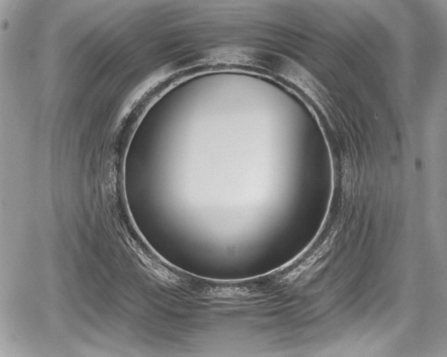 X0000067951115200604171428