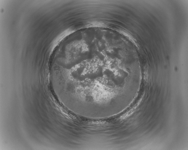 X0000067951117200604171428