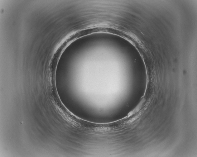 X0000067951118200604171428