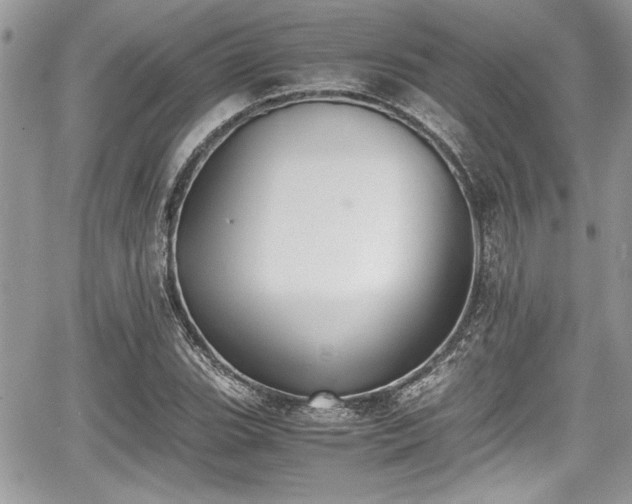 X0000067951119200604171428