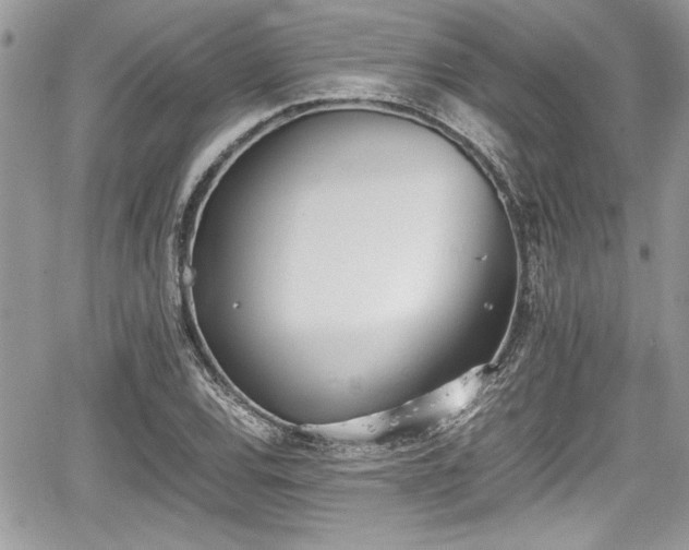 X0000067951120200604171428