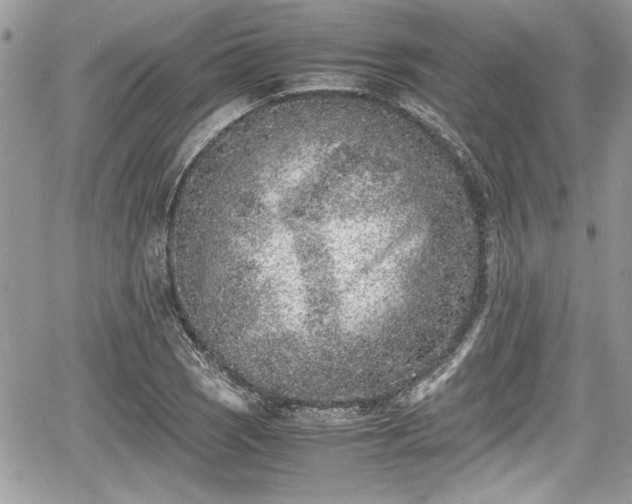 X0000067951121200604171428