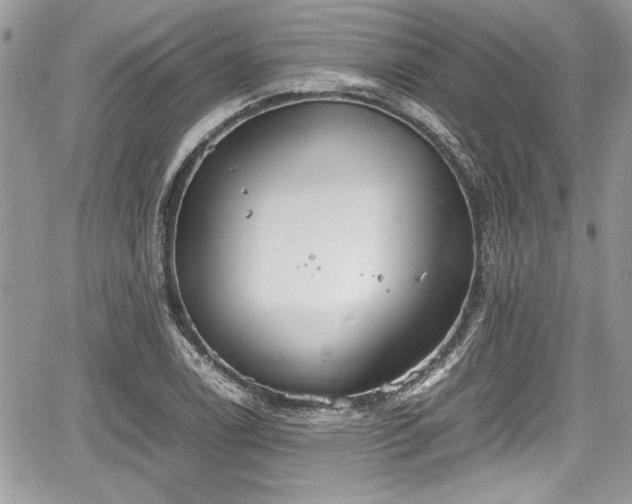 X0000067951122200604171428