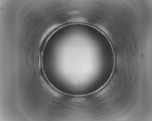 X0000067951123200604171428