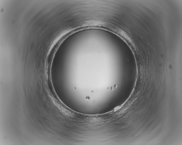 X0000067951124200604171428