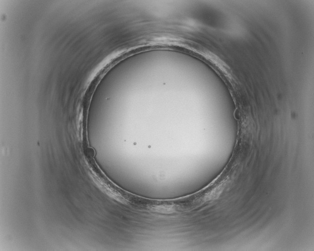 X0000067951126200604171428