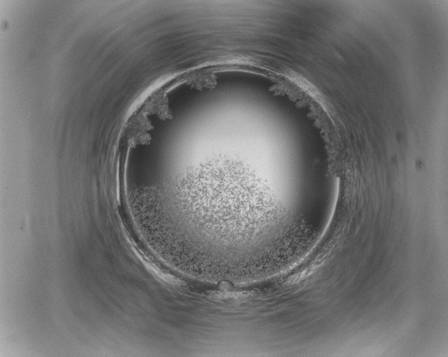 X0000067951127200604171428