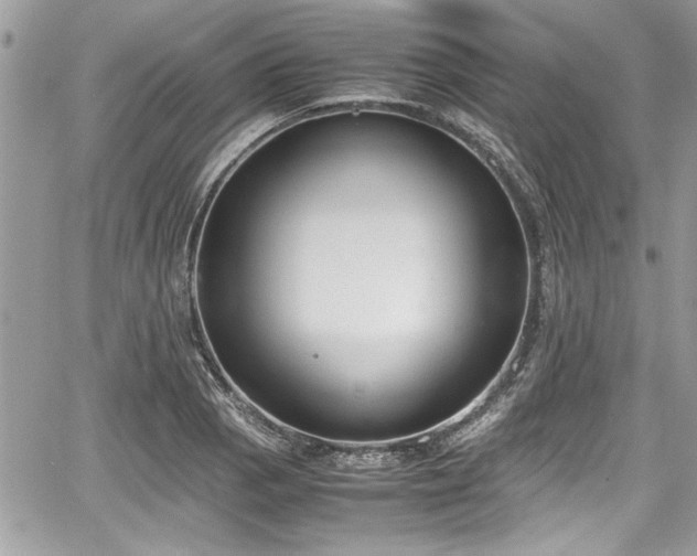 X0000067951129200604171428