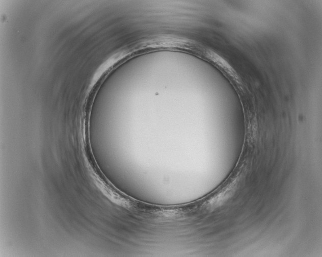 X0000067951130200604171428