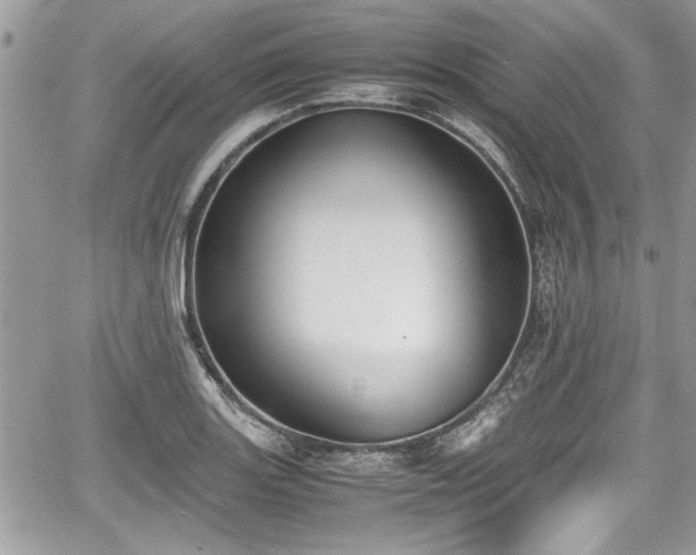 X0000067951131200604171428