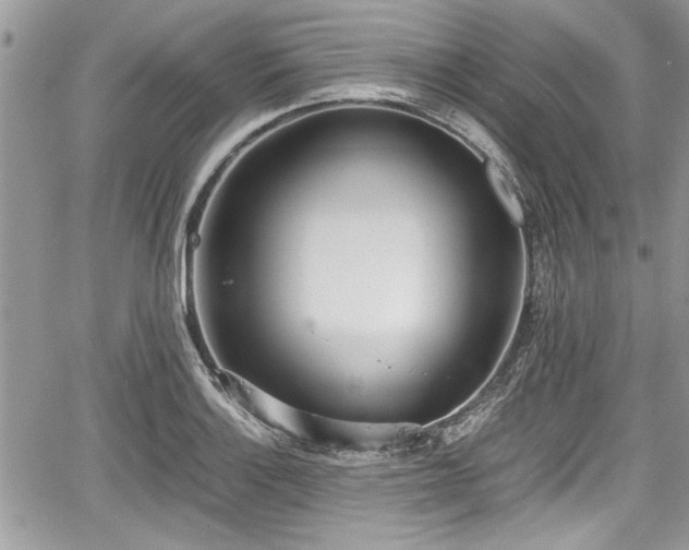 X0000067951132200604171428