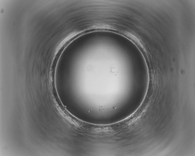 X0000067951133200604171429