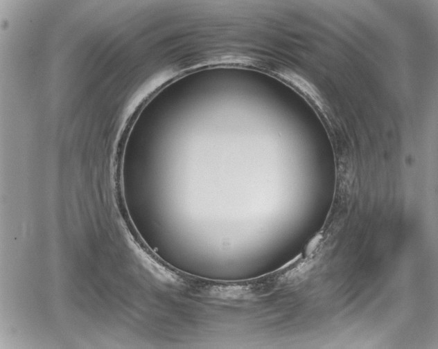 X0000067951135200604171429