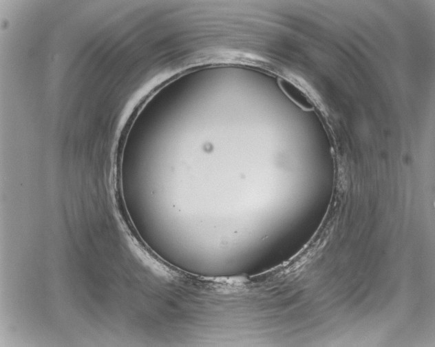 X0000067951136200604171429