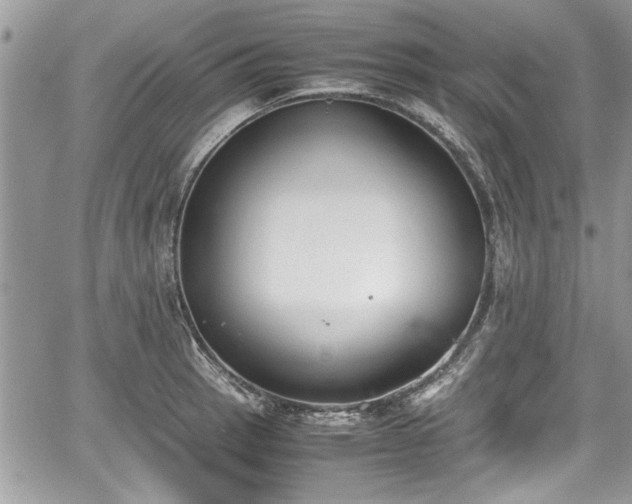 X0000067951137200604171429