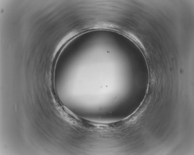 X0000067951138200604171429