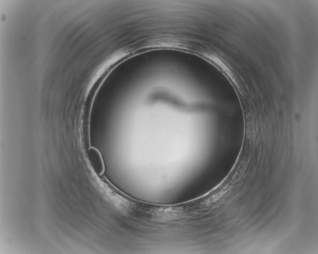 X0000067951139200604171429