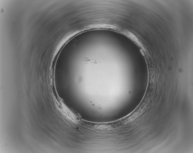 X0000067951140200604171429