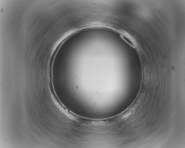 X0000067951142200604171429