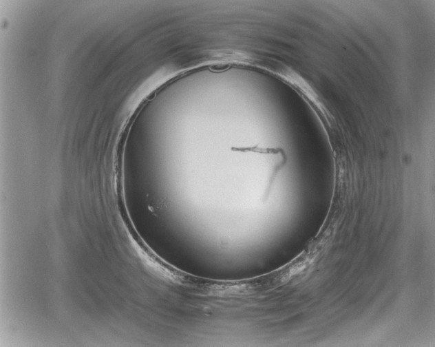 X0000067951143200604171429