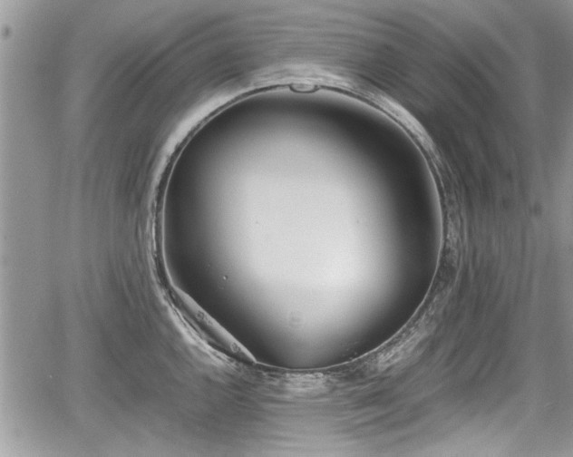 X0000067951144200604171429