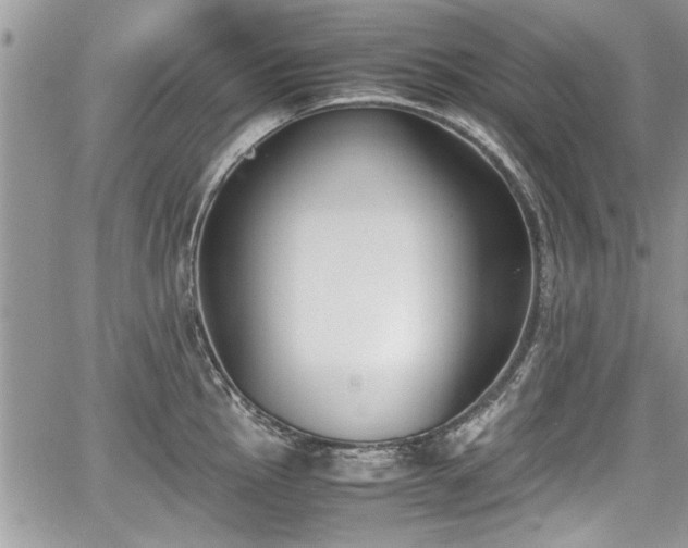 X0000067951145200604171429