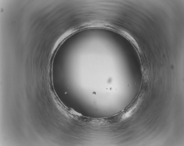 X0000067951146200604171429