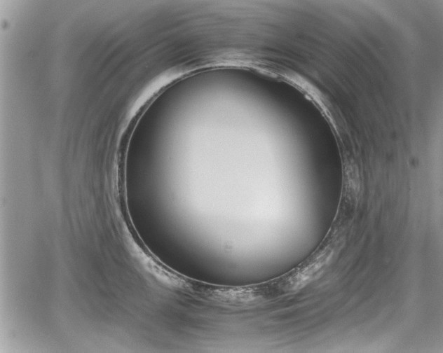 X0000067951147200604171429