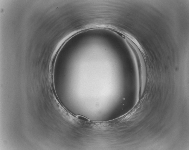 X0000067951148200604171429