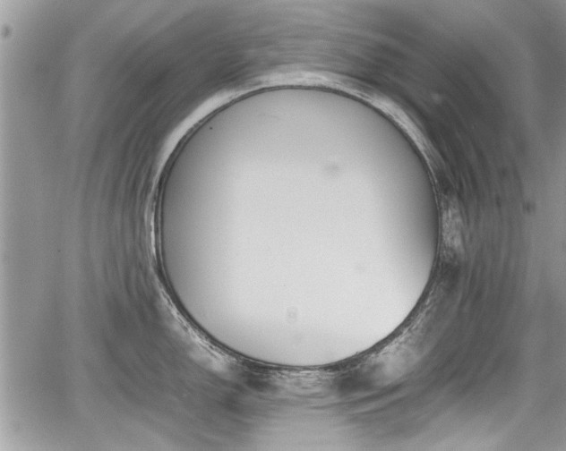 X0000067951150200604171429